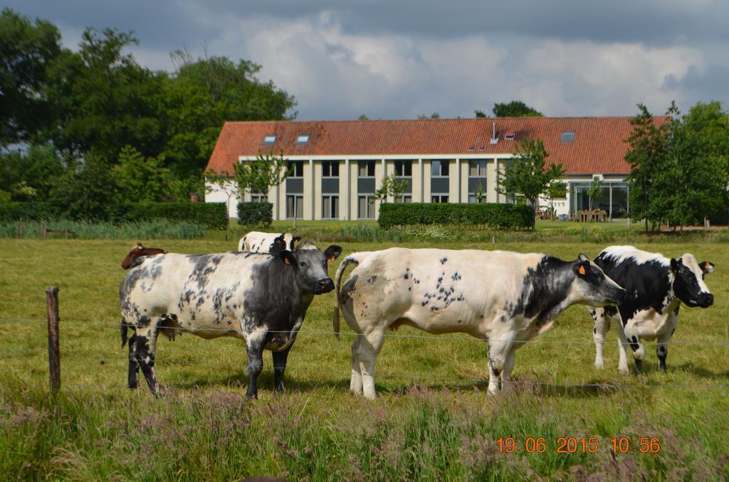 Cleythil Hotel Maldegem Exterior foto